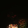 東京湾大華火祭2010