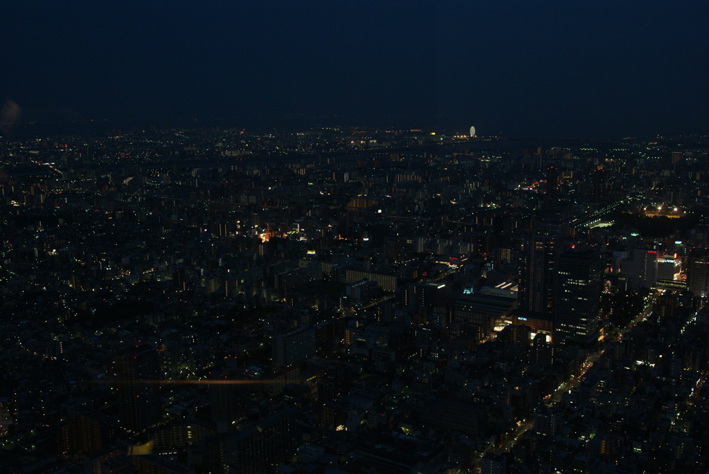 スカイツリーからの夜景