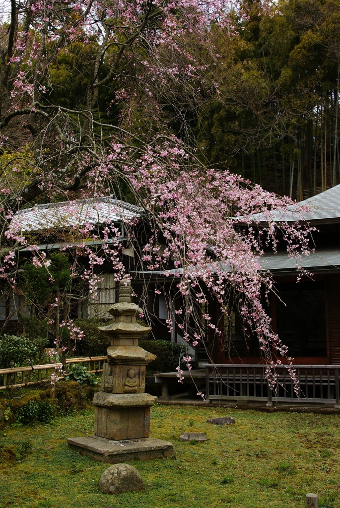 【鎌倉】東慶寺本堂前