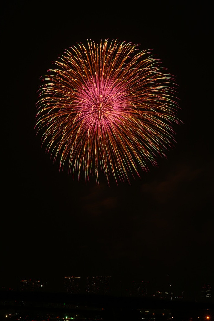 東京湾大華火祭2010