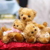 かわいらしいクマさんたち