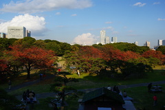都会の庭園