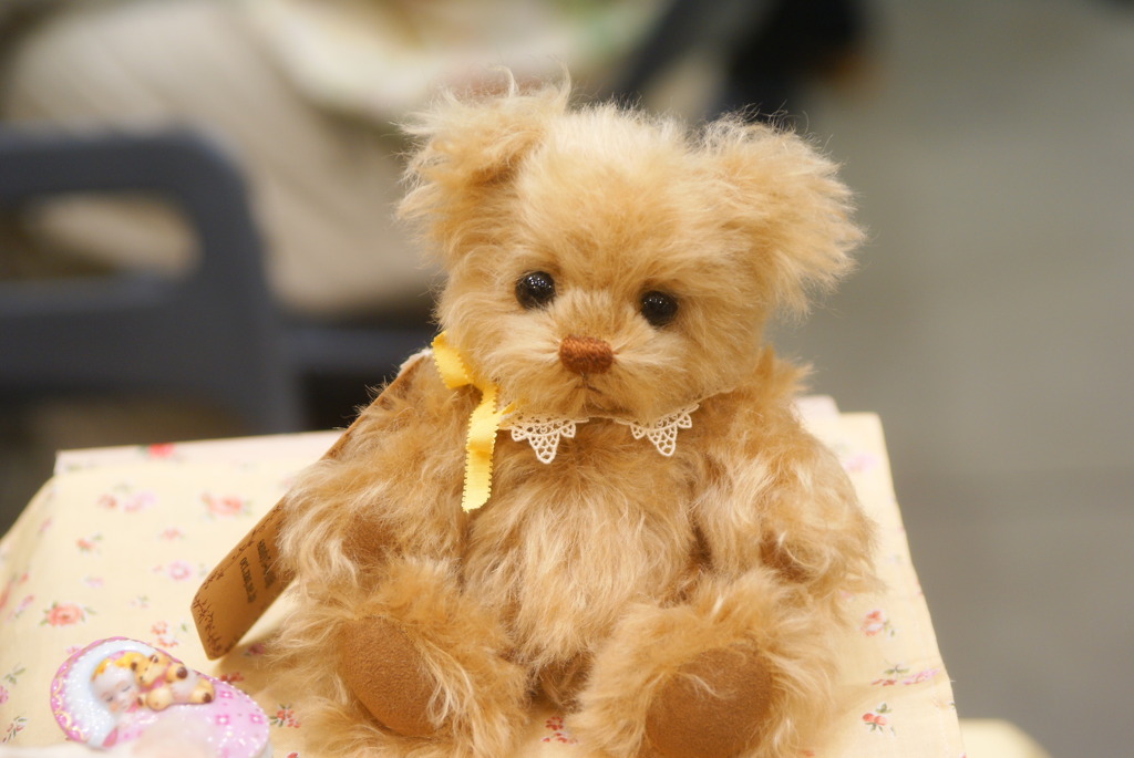 かわいらしいクマさんたち