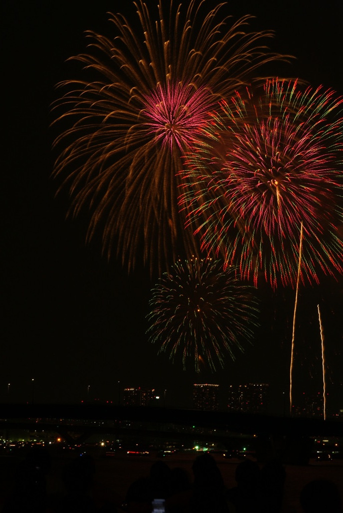 東京湾大華火祭2010