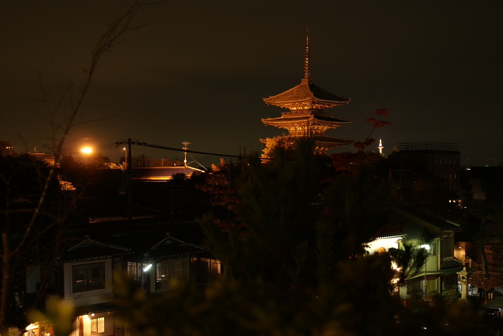 円山公園から