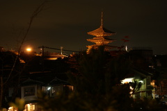 円山公園から