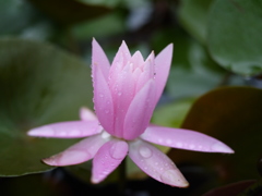 P1000036