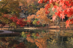 笠間・北山公園