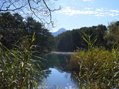 五色沼2