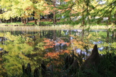 水戸・植物公園2
