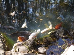 P1010015