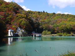 五十里