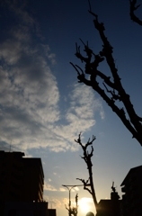 ある日の夕方