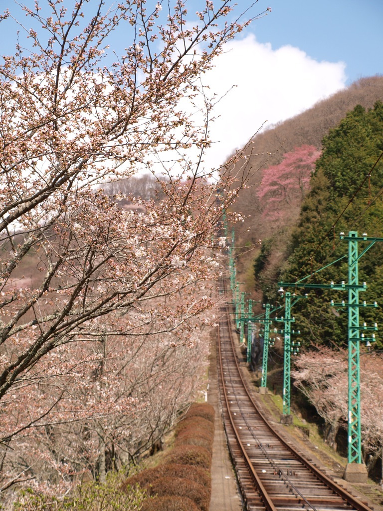 妙見山ケーブル