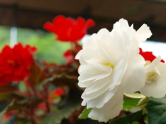 P6132882