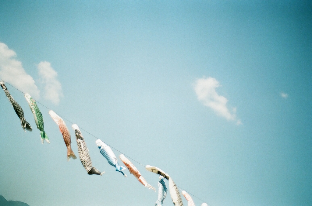 空を泳ぐ