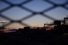 金網越し