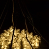 Candle Night