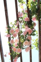 水俣エコパークの薔薇