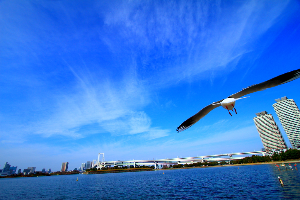 大空翼