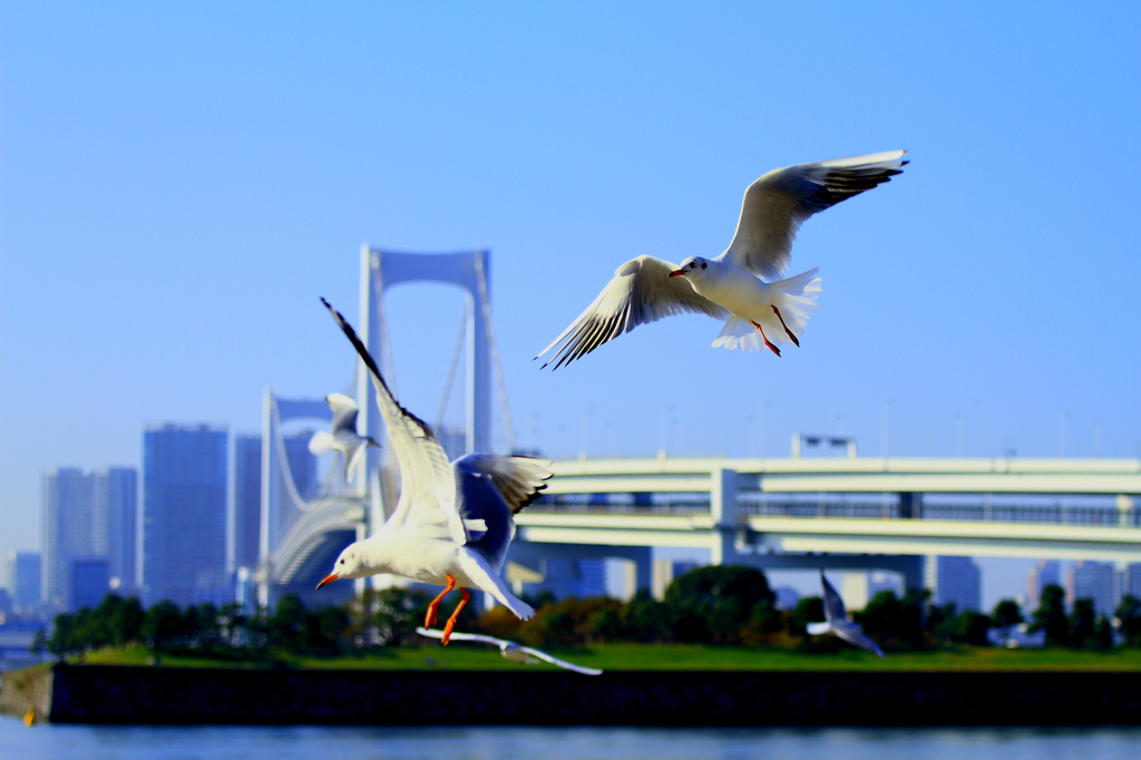 都会の空