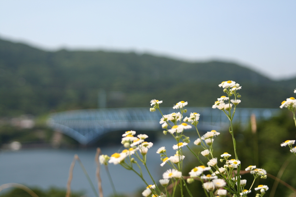 出島への道