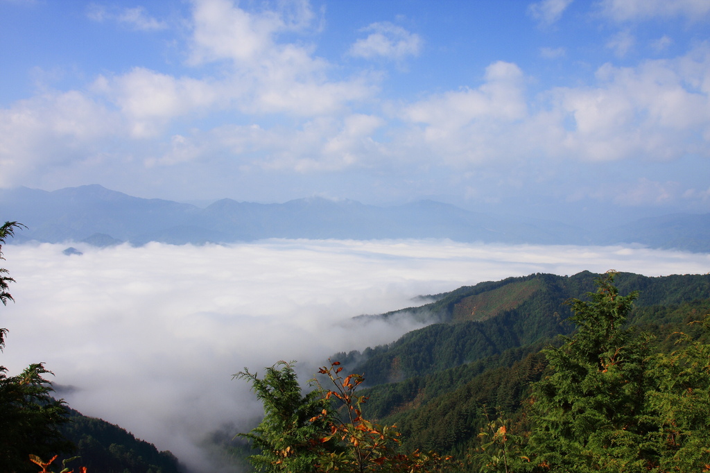 雲海