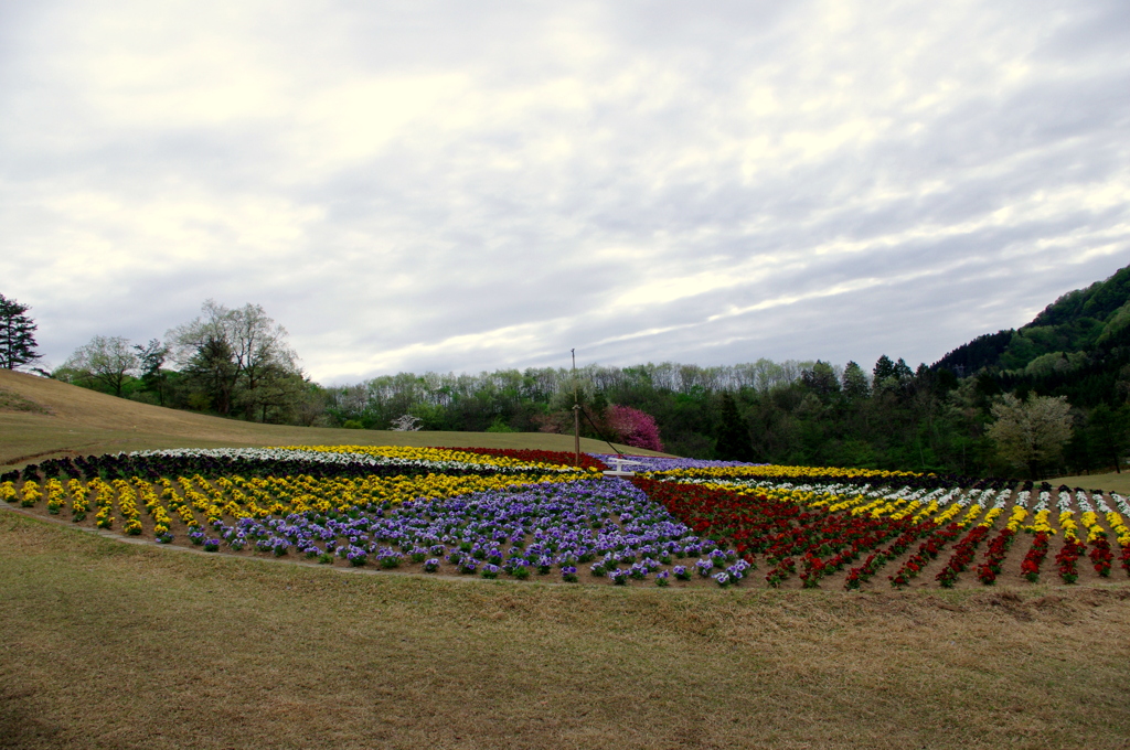 Flower Circle