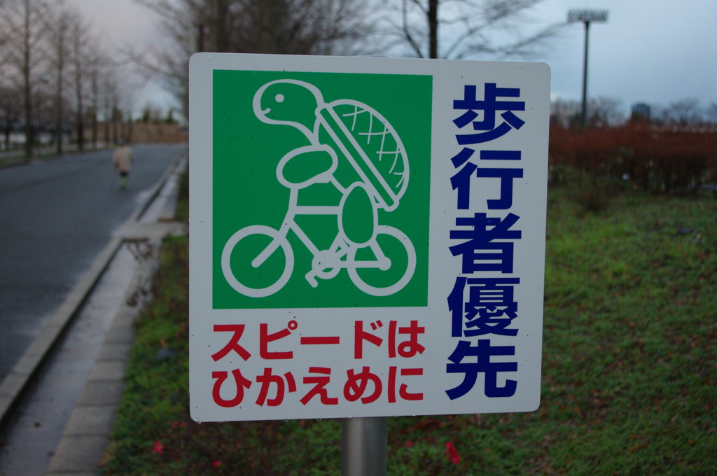 亀もゆっくり