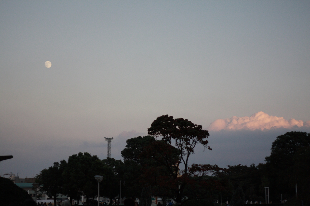 夕日月