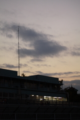 IMG_1229
