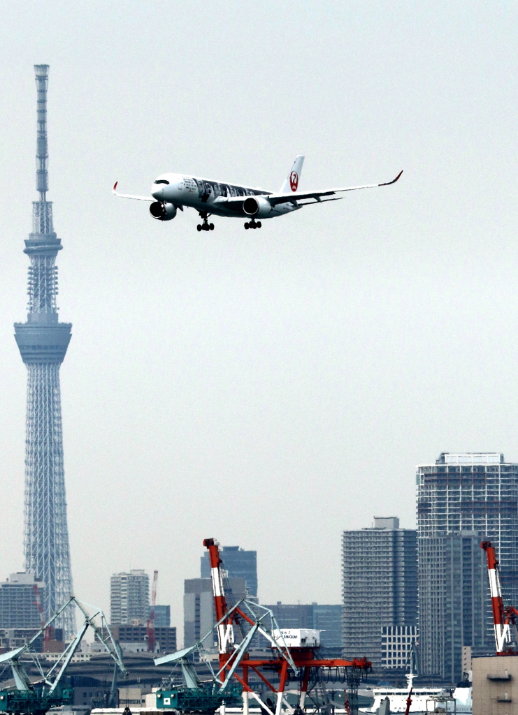 嵐ジェットとスカイツリー