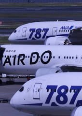 787-AIR DO-787
