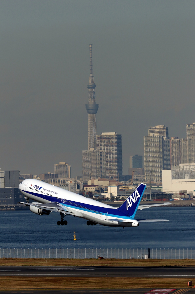 スカイツリー+ANA