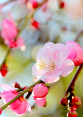 まるで春のような一日