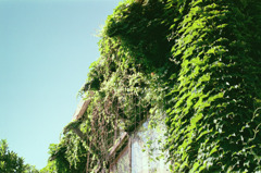 体温プラス10度C (12)