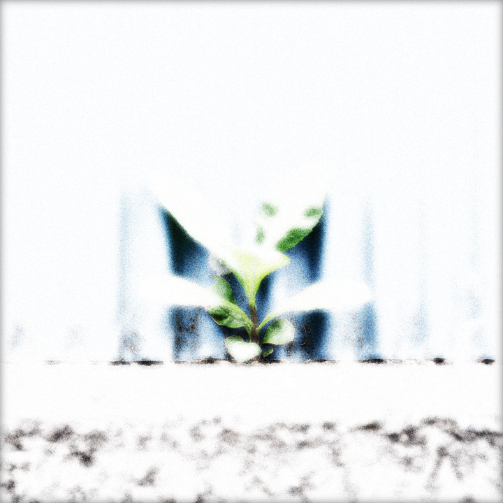 WHITE NOISE (01)
