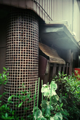 Lomography workshop (01)