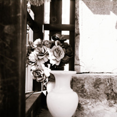 古い日差し (01)