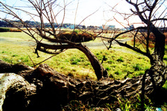 1月10日 (07) 1月10日 (07)