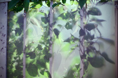 体温プラス10度C (16)