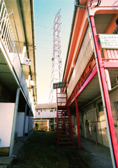 スナッピンフィールド (20)