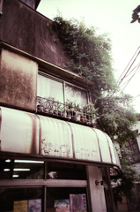 Lomography workshop (03)