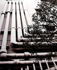 写シンの由来 (04)