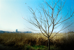 1月10日 (14) 1月10日 (14)