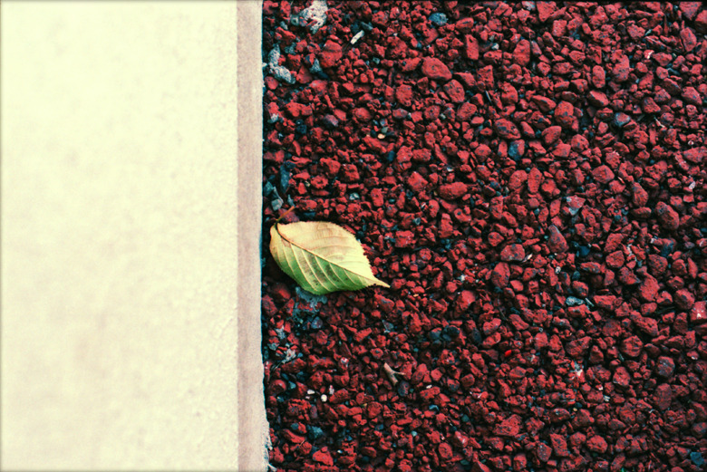 『 leaf 』(02)