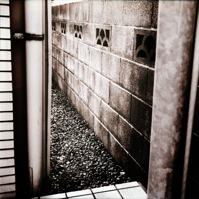 古い日差し (06)