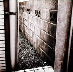 古い日差し (06)