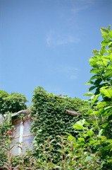 体温プラス10度C (08)