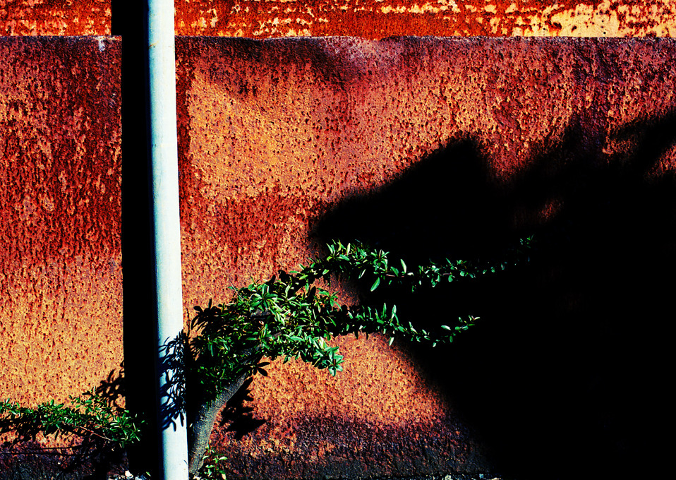 TWO OF (03)